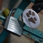 Kłódka przypięta to rusztowania mostu z łacińskim tekstem i obok zapinka z rysunkiem odbitej łapy psa.